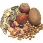 seedsgroup