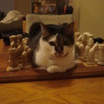 I can haz chekmate?
