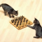 Cute Cats that are playing chess with each other